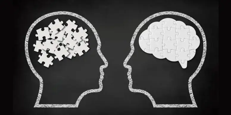 Two heads with puzzle piece brains.